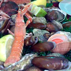 pesce crudo
