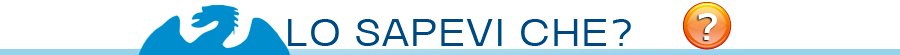 sapeviche3